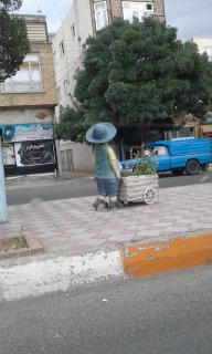 3مرداد اهرچای